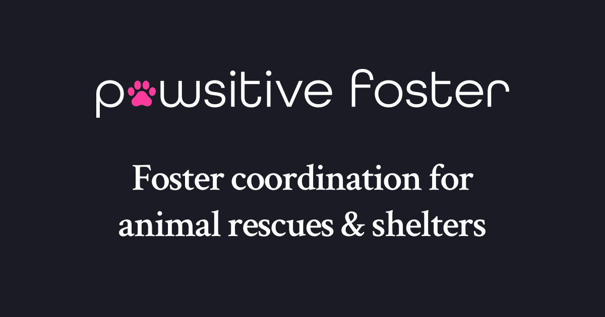 Pawsitive Foster preview