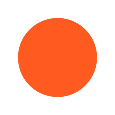 RankOrange GEO Audit logo