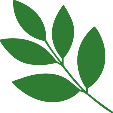 Raychis: Plant ID & Care logo